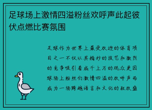 足球场上激情四溢粉丝欢呼声此起彼伏点燃比赛氛围